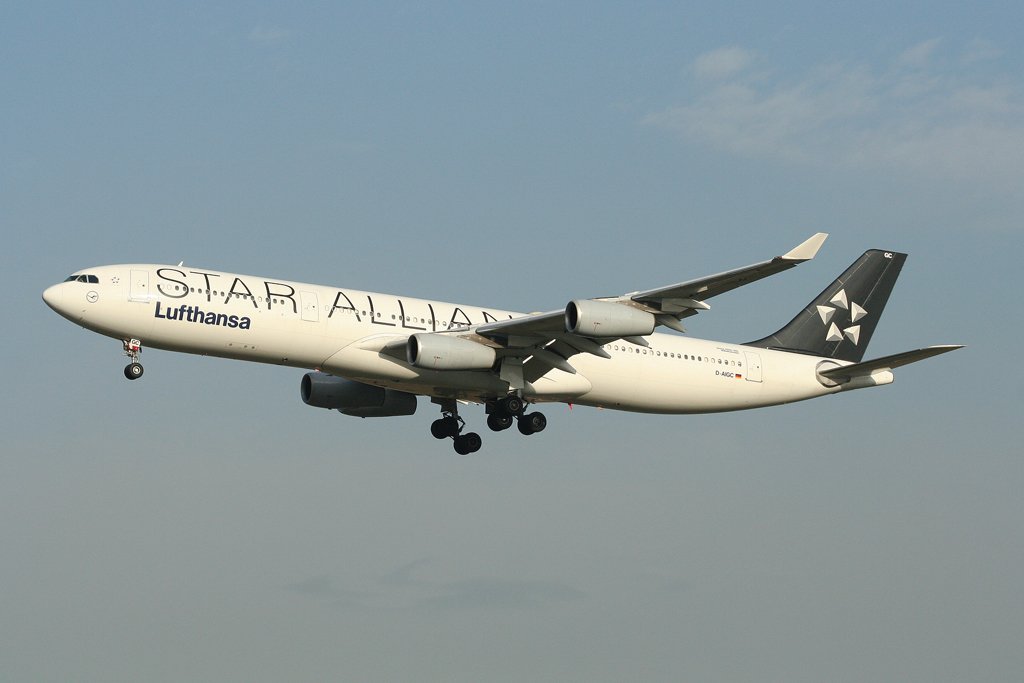 Lufthansa Star Alliance A340-300 in Frankfurt am 21.11.09