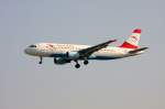 Reg.: OE-LBT Hersteller: AIRBUS ...  Wolfram Tribull 23.05.2010