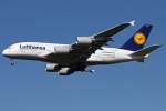 D-AIMA, Lufthansa's Moppelchen im ...  Timo J�ger 05.06.2010