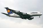 The Airboss is coming. Ein Airbus 380-800 der Lufthansa aufgenommen in Frankfurt am 01.06.2010. Reg: D-AIMA.