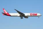 B 777-300/44341/773-von-tam-bei-schoenstem-sonnenschein 773 von TAM bei schnstem Sonnenschein in FRA Landung 07R , 20.10.09