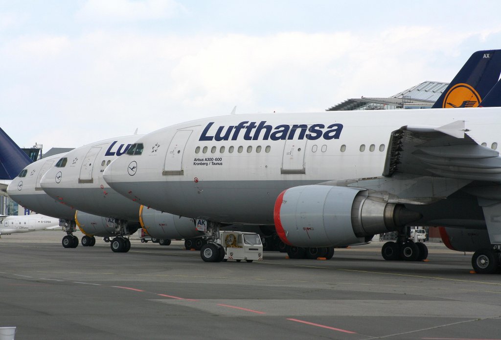 Lufthansa A300 sammlung in Dresden. (Sommer 09)